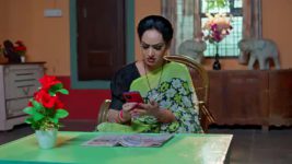 Nuvvu Nenu Prema S01 E682 Good News for Padmavathi's Family