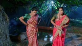 Padamati Sandhyaragam S01 E561 3rd July 2024