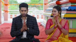Paluke Bangaramayana S01 E288 Will Abhishek Marry Jhansi?