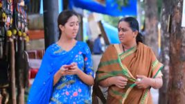 Shreegowri S01 E124 Appu saves Gowri's respect