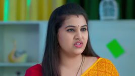 Annapoorna S01 E617 5th August 2024