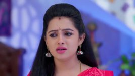 Annapoorna S01 E618 6th August 2024