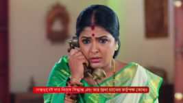 Bidhilipi (Zee Bangla) S01 E29 23rd August 2024