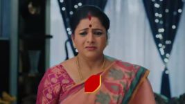 Intinti Ramayanam (Star Maa) S01 E50 Avani Doubts Pallavi