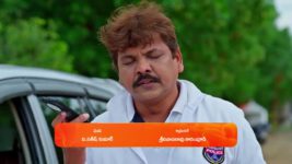 Jagadhatri (zee telugu) S01 E304 8th August 2024