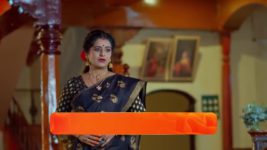 Jagadhatri (zee telugu) S01 E310 15th August 2024