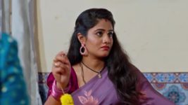 Jagadhatri (zee telugu) S01 E314 20th August 2024