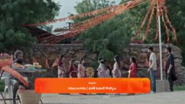Jagadhatri (zee telugu) S01 E315 21st August 2024
