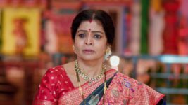 Maa Annaya (Zee Telugu) S01 E113 2nd August 2024