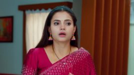 Maa Annaya (Zee Telugu) S01 E125 16th August 2024