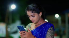 Meghasandesam (Zee Telugu) S01 E61 19th August 2024