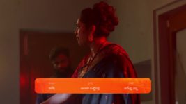 Meghasandesam (Zee Telugu) S01 E66 24th August 2024