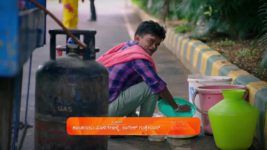 Puttakkana Makkalu S01 E724 20th August 2024