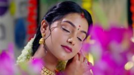Jabilli Kosam Aakashamalle S01 E295 16th September 2024