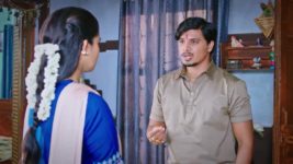 Lakshmi Nivasa S01 E309 17th September 2024