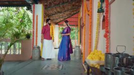 Maa Annaya (Zee Telugu) S01 E147 8th September 2024