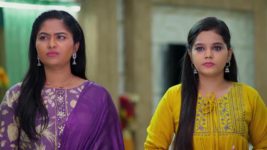 Meghasandesam (Zee Telugu) S01 E81 8th September 2024