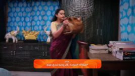 Puttakkana Makkalu S01 E743 9th September 2024