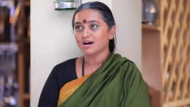 Shreegowri S01 E163 Appu accepts the marriage