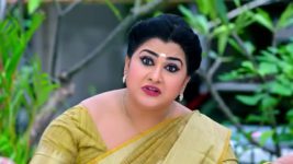 Punarvivaha S01 E460 24th November 2022