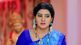 Punarvivaha S01E156 25th January 2022 Full Episode