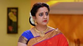 Punarvivaha S01E205 15th March 2022 Full Episode