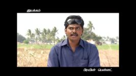 Saravanan Meenatchi S02E28 Sakthi's jealous of Perumal Full Episode
