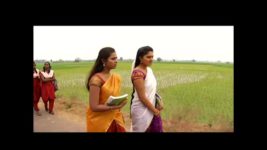 Saravanan Meenatchi S02E36 Ambarasan warns Meenatchi Full Episode