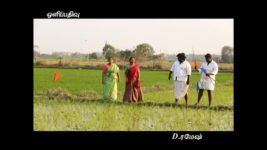 Saravanan Meenatchi S07E37 Vettaiyan vows to win! Full Episode