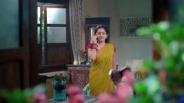 Udne Ki Aasha S01 E204 1st October 2024