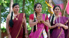 Renuka Yellamma (Star Maa) S01 E491 Saugandhika in Trouble?