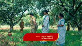 Chinni (Star Maa) S01 E130 Sarala Fumes in Rage
