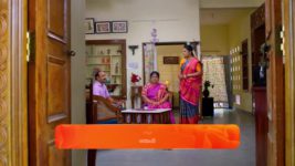 Janaki Ramayya Gari Manavaralu S01 E171 20th November 2024