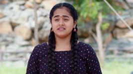 Maa Annaya (Zee Telugu) S01 E201 7th November 2024
