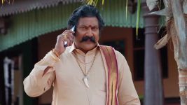 Maa Annaya (Zee Telugu) S01 E224 30th November 2024