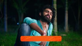 Puttakkana Makkalu S01 E807 16th November 2024