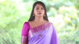 Shreegowri S01 E226 Gowri dismisses Appu
