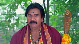 Trinayani (Kannada) S01 E1150 28th November 2024