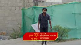Gunde Ninda Gudi Gantalu S01 E303 Rohini's Present to Manoj