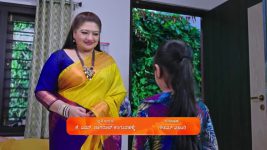 Amruthadhare S01 E481 23rd December 2024