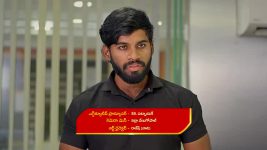 Gunde Ninda Gudi Gantalu S01 E306 Meena Makes an Appeal