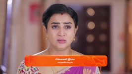 Idhayam S01 E529 30th December 2024