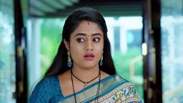 Jagadhatri (zee telugu) S01 E421 25th December 2024