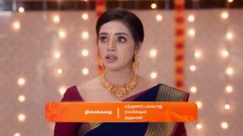 Karthigai Deepam S01 E694 20th December 2024