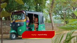 Karthika Deepam S02 E227 Parijatham Deceives Karthik