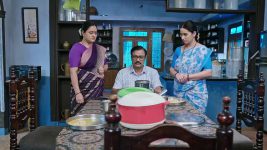 Lakshmi Nivasa S01 E437 17th December 2024