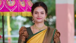 Maa Annaya (Zee Telugu) S01 E227 3rd December 2024