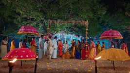 Maa Annaya (Zee Telugu) S01 E229 5th December 2024