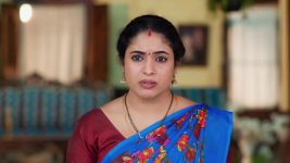 Maa Annaya (Zee Telugu) S01 E243 19th December 2024