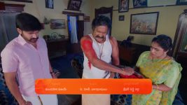 Maa Annaya (Zee Telugu) S01 E245 21st December 2024